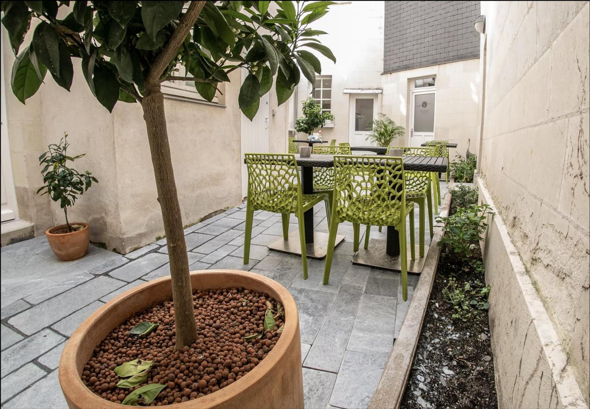 Les Lys D'Or Apartamento Saumur Exterior foto
